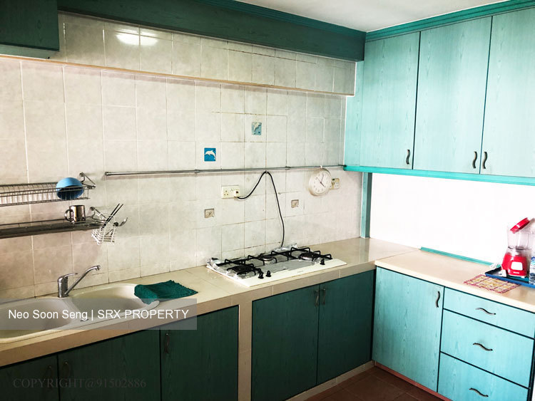 Blk 298C Compassvale Street (Sengkang), HDB 5 Rooms #194620212